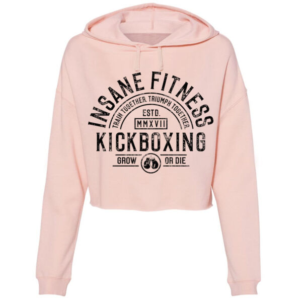 INSANE FITNESS - VINTAGE ARCH - $H9Y36B$ Thumbnail